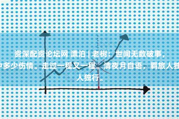 资深配资论坛网 漂泊 | 老树：世间无数破事，心中多少伤情。走过一程又一程。清夜月自语，羁旅人独行。